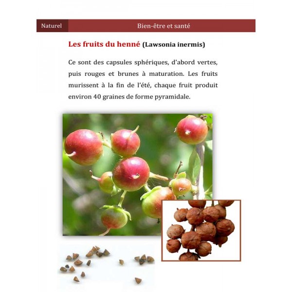 Le Henné:Solution naturelle pour le soin et la beauté des cheveux Dr. Mahboubi Moussaoui - Sana