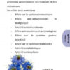 La Graine De Nigelle Les Vertus Médicinales