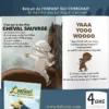 L'Enfant qui cherchait le meilleur dos sur lequel s'amuser - Norédine Allam - BDouin – Image 3