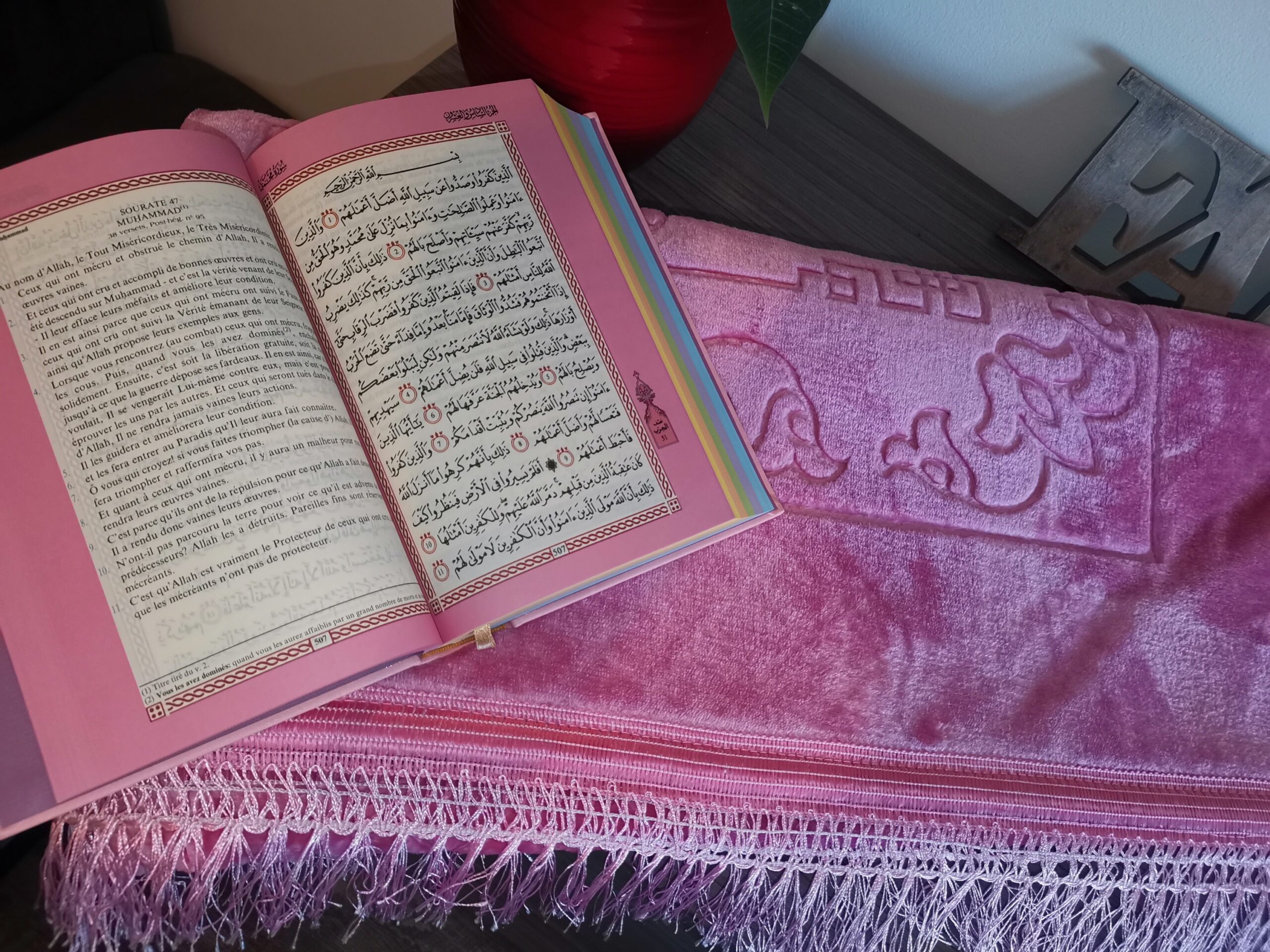 Tapis de prière épais luxe ROSE FONCÉ – Image 2