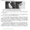 La prière du Prophète ﷺ – Guide complet illustré – Image 5